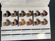 Paleta kolorystyczna BeColor