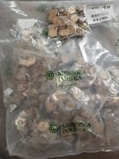 5 złotych z 2025 roku woreczek menniczy 