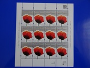 Fi. Ark. 4528 ** czysty, 70. rocznica bitwy pod Monte Cassino 