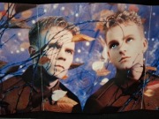 Erasure – Wild! - CD [UK, Mute CD Stumm 75]