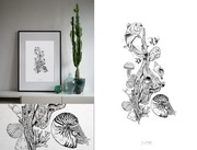 Obraz artprint "Nautilius"  Karolina Wawrzyniak