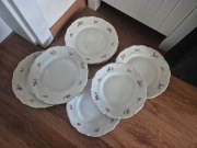 Talerze porcelana wałbrzych kwiatki urocze
