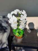 Biały Storczyk silikonowy,Super jakość,Pomysł na prezent