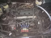 Silnik ford focus MK2 