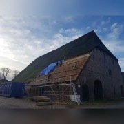Trzcina,dachy z trzciny,praca!Przyjmę do pracy! 