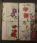 Fi: 4981-4984** Polskie odmiany powojników parki 2019