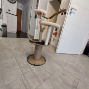 Ekologiczny drapak dla kota