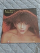 KATE BUSH- LIONHEART