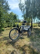 Rower trójkołowy 
