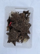 Pudło z Ozdobnymi Gwiazdkami