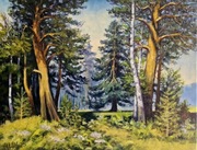 Obraz olejny Stare sosny 