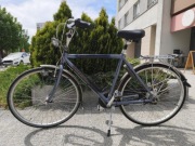 Rower miejski Gazelle Comfort Hybrid