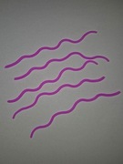 Squirmy Wormy , Sztuczne Robale , Worms , Ninfy