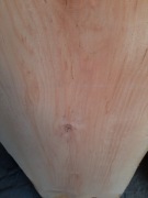 Tarcica olchowa sucha, olszyna