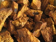 Mocny Ekstrakt Czaga,Chaga,Błyskoporek Podkorowy .550ml Full Spectrum