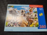Puzzle 260 el. African selfie Castorland [R43]