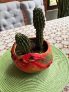 doniczka ceramiczna  ręcznie malowana + kaktusy gratis