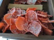 Pokrywa SIMET PS1 - 10szt