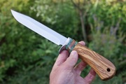 Nóż Bowie duży 31,5 cm stal HSS - drewno oliwka