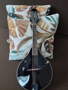 Mandolina po regulacji lutniczej Harley Benton HBMA-50 