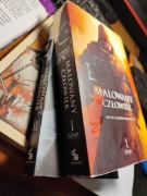 Malowany człowiek. Tom 1. Ks. 1 Peter V. Brett