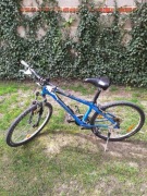 Rower AUTHOR niebieski