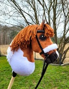 Konik Hobby Horse Fiord, konik na kiju