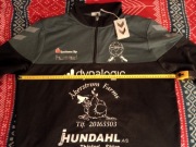  Hummel Sirius Half ZIP Sweat 
