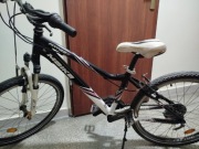 Rower Mbike Fitness Comfort 24 cale 