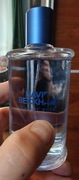 Beckham Classic Blue 