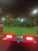 kontener na zielone odpady //gałęzie //wywóz odpadów zielonych