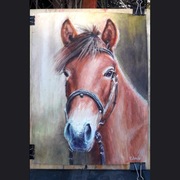 Portret konia akwarela 30x40 cm