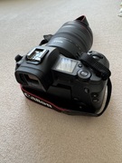 Canon EOS R + RF 24-105 F4