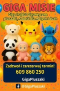 Żywe maskotki Giga Misie wynajem 