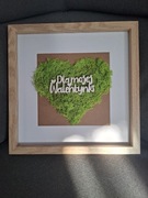 Obraz z mchu chrobotek 