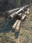 DREWNO OPAŁOWE- SOSNA