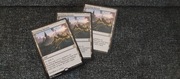 MTG - Crawling Barrens x3