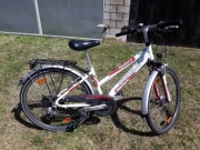 Rower Pegasus Avanti