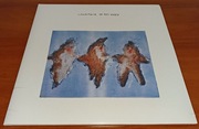 Cindytalk - In This World - 2LP