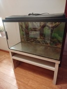 Akwarium  z oświetleniem i szafką 