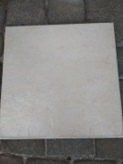 terakota beżowa 30x30 cm szt. 12