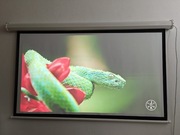 Elektryczny ekran projekcyjny z pilotem "68'' 16:9
