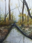 Akwarela oprawiona nowa 