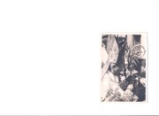 Fotografia - Stefan Wyszyński- Prymas Tysiąclecia.