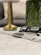 Apple Watch Series 8 Silver Stainless Steel (WiFi + Cellular) Polecam 