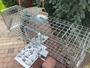 ŻYWOŁAPKA PUŁAPKA na kuny koty psy