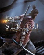 Sekiro: Shadows Die Twice - Steam