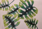 Obraz "Monstera" 25 x 36 cm - kredki ołówkowe