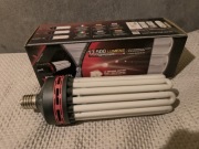 Żarówka CFL 300W na kwitnienie 