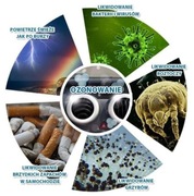 Ozonowanie samochodów 